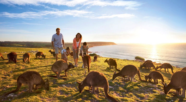 5 best places to visit in Australia
